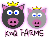 KnQ Farms Pig 中國的 喜歡
